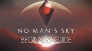 NsmMisc BeginnersGuide