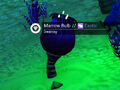 Marrow Bulb in the wild (Atlas Rises)