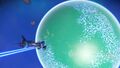 Planet view