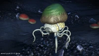 N. Marrowerhea1