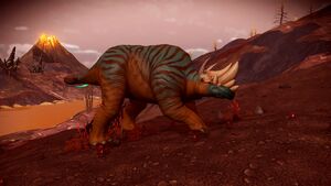 Genus Catalog - Theroma-Rhino