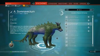 A. Somnavecium