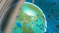 Planet view