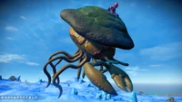 O. Zercosucyeum Asymptotic