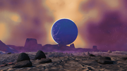 Oinetia Surface1