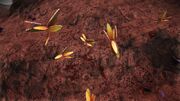 Shell Elementals (Irri Shells)