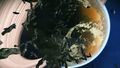 Planet view