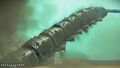 Sandworm