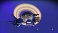 Planet scan original name