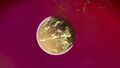 Planet view
