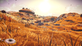 The surface of Thaloria