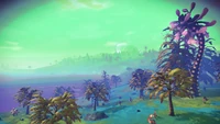 NMH Dreamscapes Surface