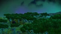 Night on Rowa