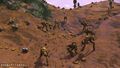 Group of striders