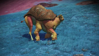C. Swanlimicera