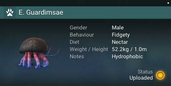 E. Guardimsae