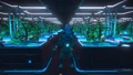 Chilltown's hidden NipNip farm by Gashopper