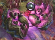 An Armoured Clam with open shells