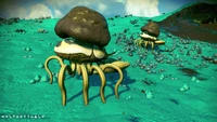 V.Crabavoreum Prime