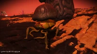 Y. Warlodosareus Prime