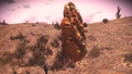 Plant containing Sticky 'Honey'