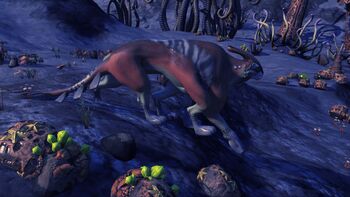 K. Ovissadumima