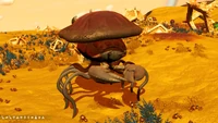 O. Nanoucrufae 01a