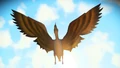 Ereythra Imienuc has an enormous wingspan