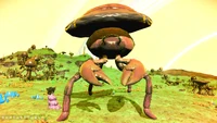 OToddpiygmae1