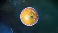 Planet view