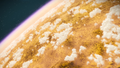A closer look at Thaloria