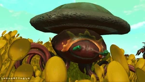 GHEC Mushroom Beetle Album