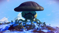 PMammaeiea1