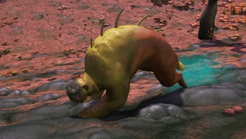 Illr-Thoka Skorpadda