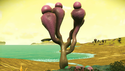 Mouthboteum.png