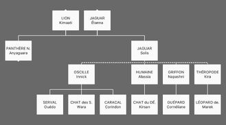 Arbre généalogique de Solis.jpg