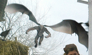 Reign of the Gargoyles