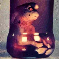 Gnome Of Girona Non Alien Creatures Wiki Fandom Información precisa sobre vuelos económicos, de última hora o chárter a gerona. gnome of girona non alien creatures