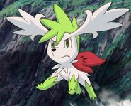 Shaymin in sky forme.