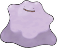 Ditto