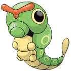 Caterpie