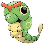 Caterpie