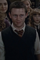 Seamus Finnigan