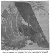 Illustrated by Pierre Georges Dutriac