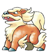 Beta design of Arcanine.