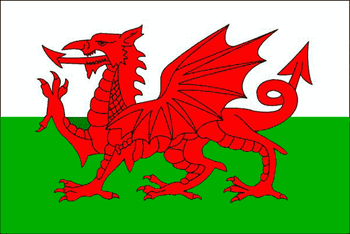 Welsh Flag