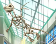 Dragonite skeleton.