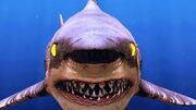 Demon Shark