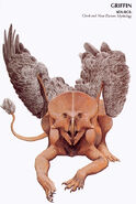 Griffin from Barlowe's Guide to Fantasy