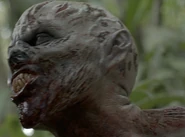 Chupacabra (Indigenous).png (179 KB) Indigenous